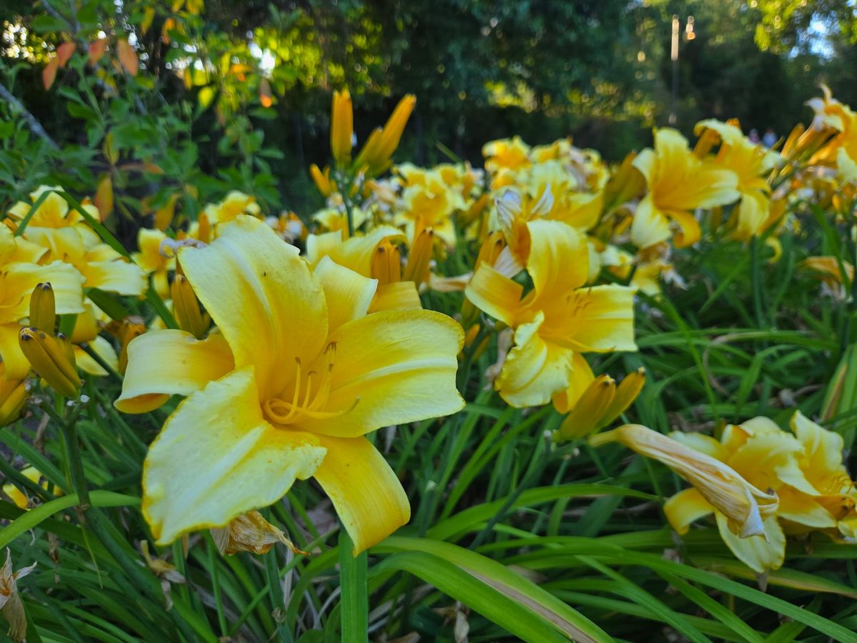 Insights & Inspirations Letters