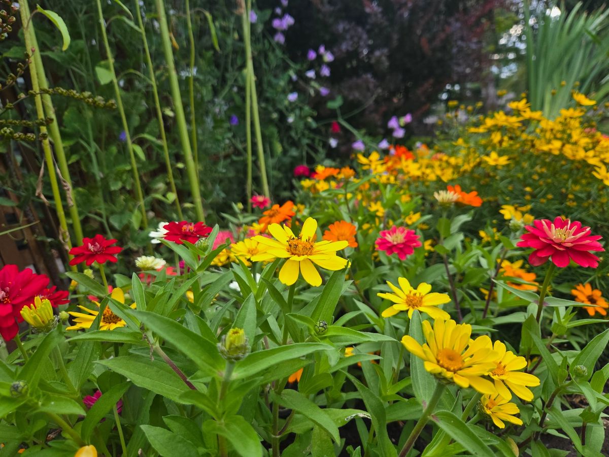 Tending the Greenery of the Heart | August Newsletter