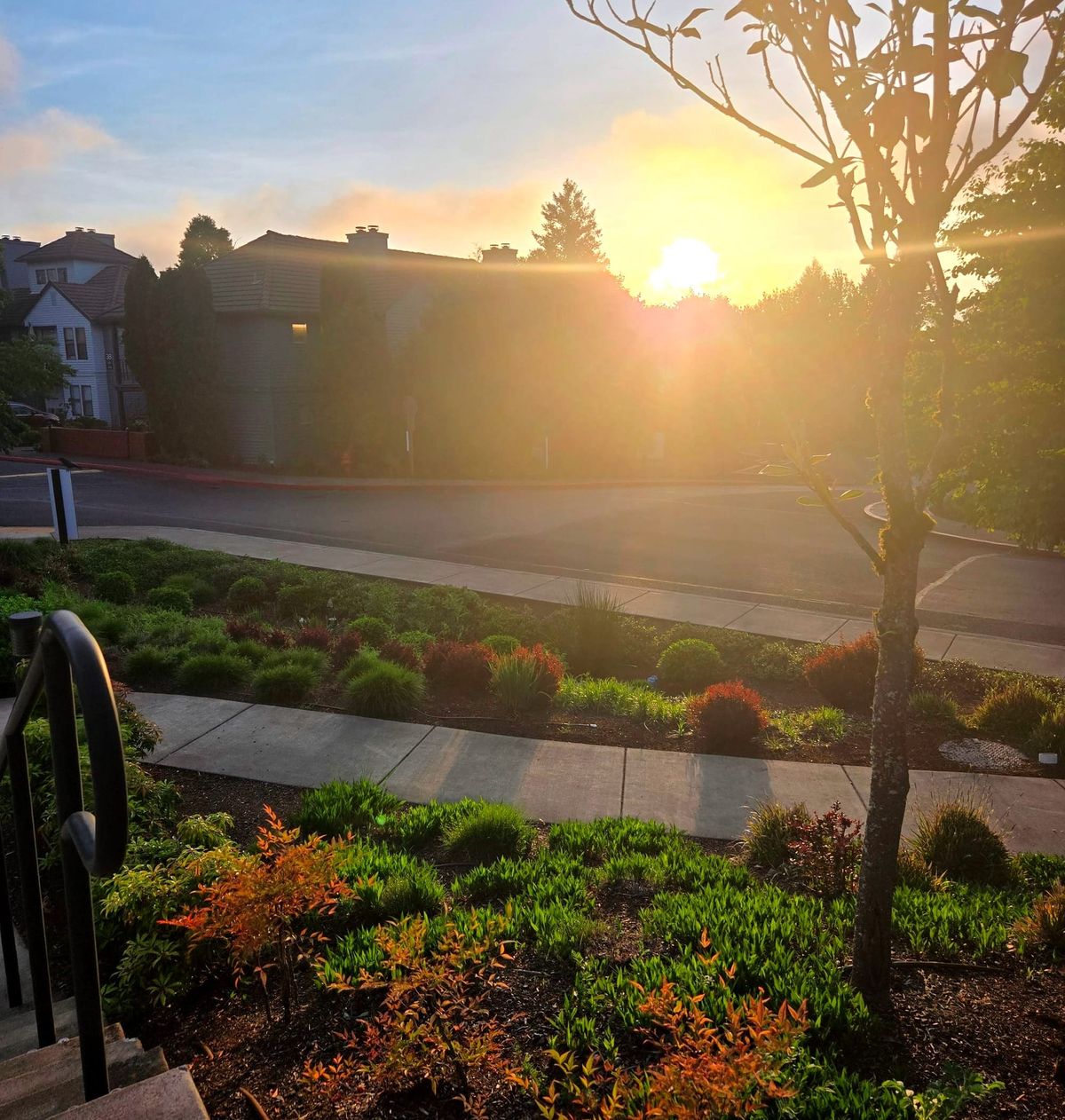 Life in Bloom: Staying Close to What’s Growing