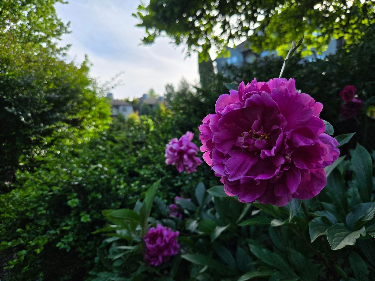 June offerings, outdoor yoga & a rainy Monday hello