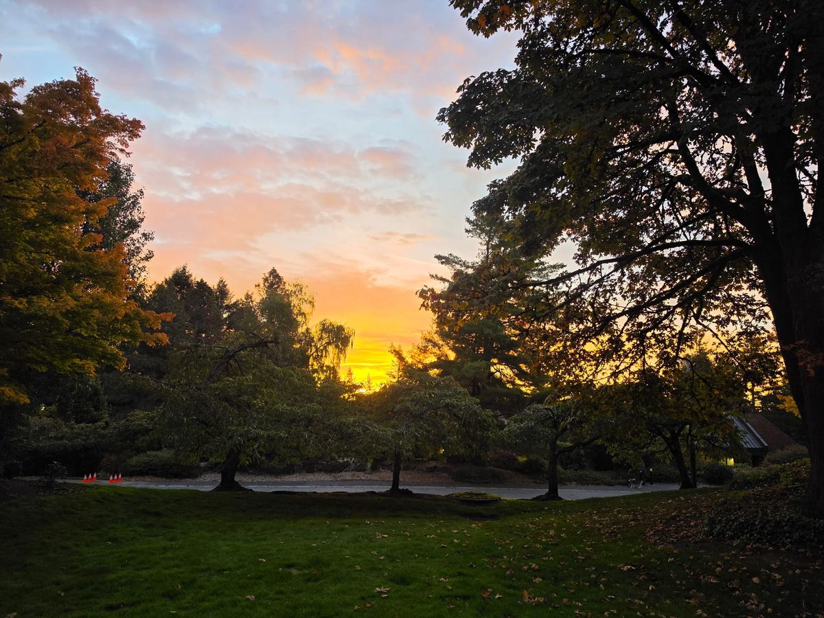 The Sweetest September- Heart Centered Grounding & Gathering into Autumn