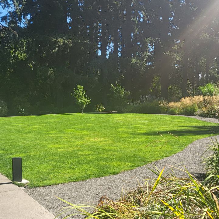 Autumn's Unfolding: Welcome Balance with Nature and Heart