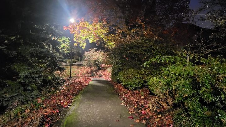 Uncovering Happiness: Yoga, Winter, and the Journey Within