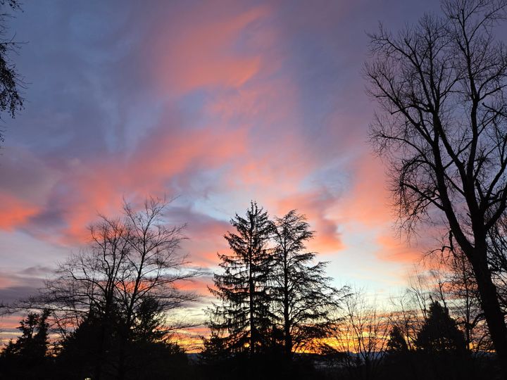 Winter Wisdom: Shedding Samskaras, Awakening Belonging, and Rising Together