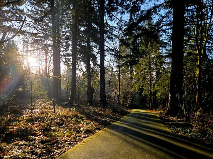 Wintering Wellness: Tending Your Spirit in 2026