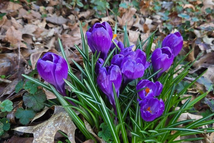 Waters of Emergence: Creating Warmth for What’s Rising