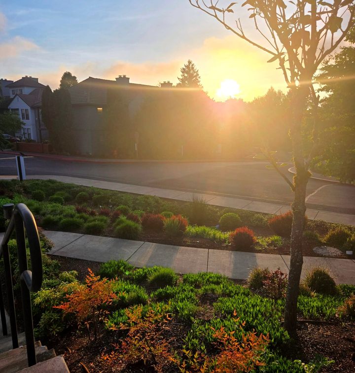 Life in Bloom: Staying Close to What’s Growing
