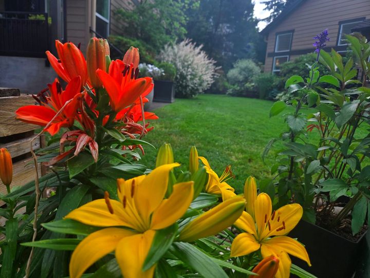 June: Fullness & Vitality with Prana, Presence & Heart