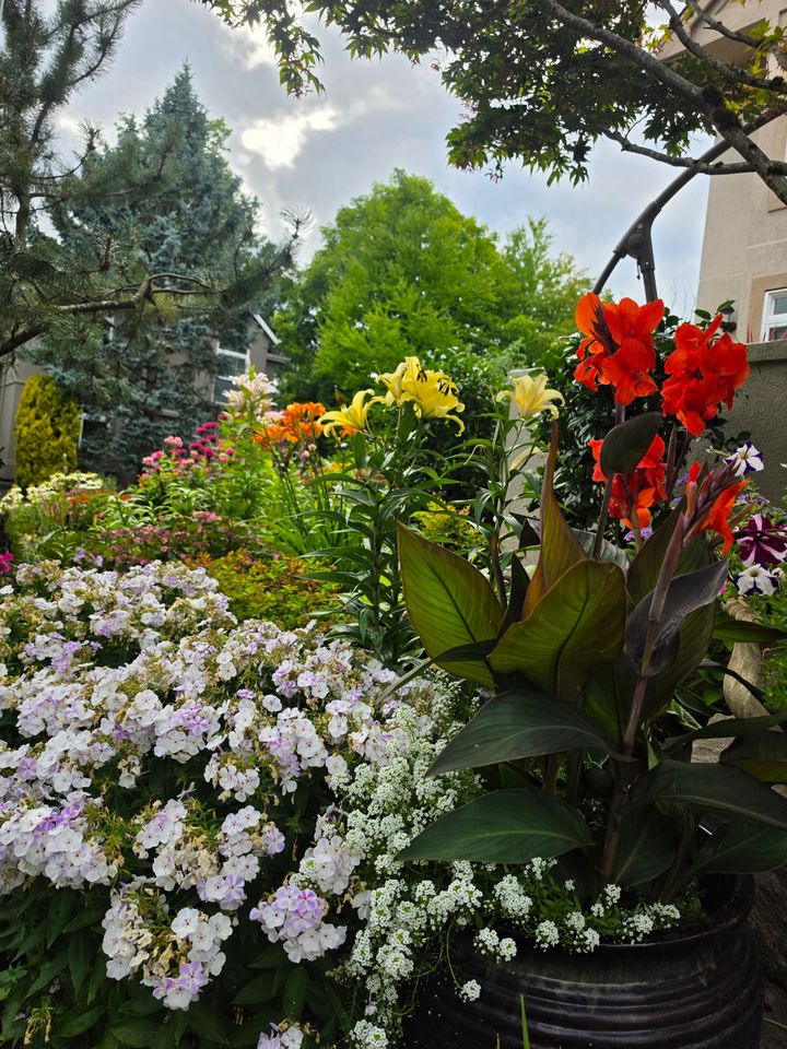 A Sunday Exhale- Returning to Wellness with Devotion