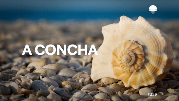 Pacific News #320: A Concha