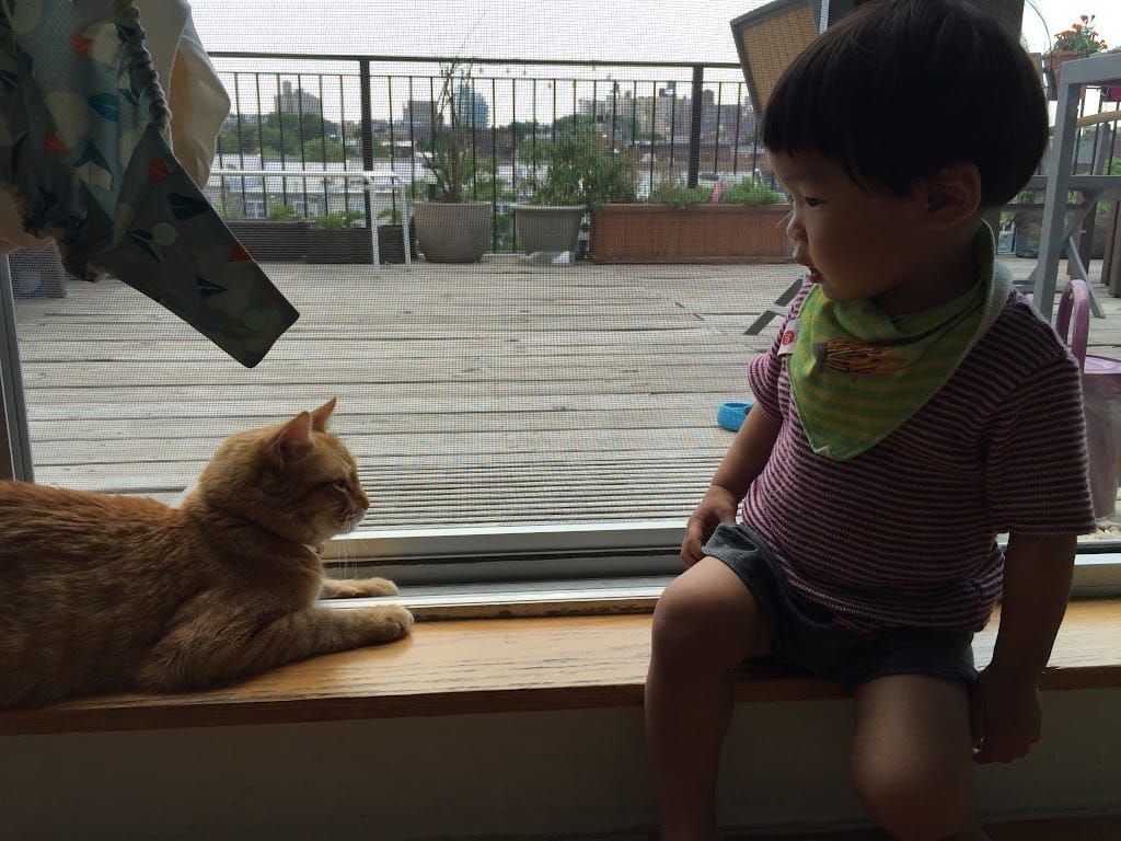 1Y10Ms Cedric & Conan