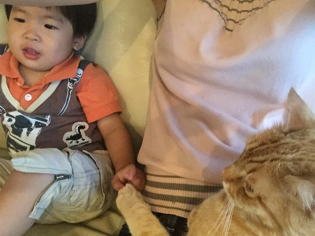 1Y11Ms Cedric & Conan