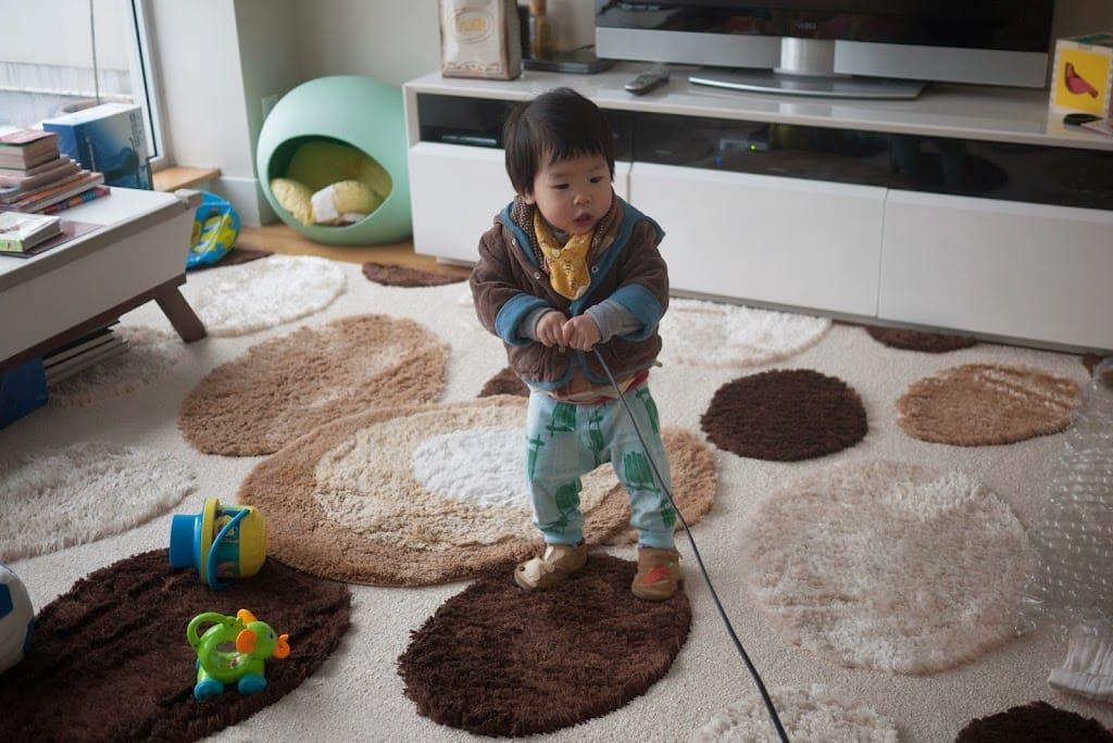 1Y5Ms the muti-funtional little helper