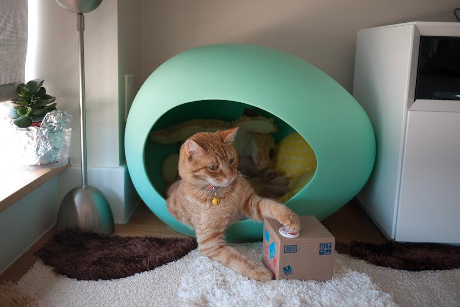 Conan & His Cat Coin Bank