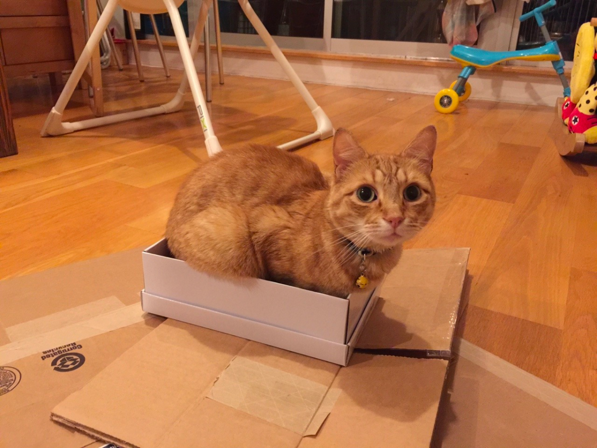 Conan vs. Boxes