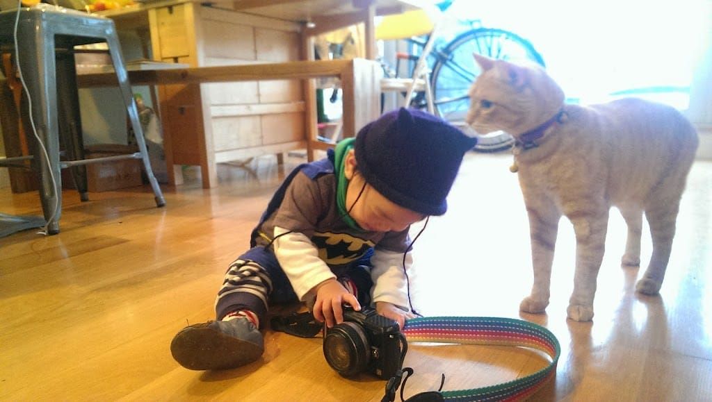 1Y2M5Ds 2nd Halloween! 萬聖節