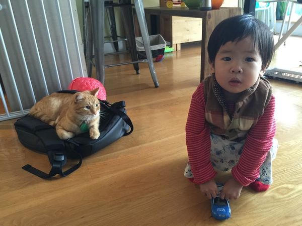 2Y1Ms Cedric & Conan