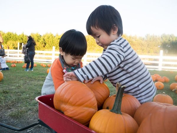 2Y1M White Post Farm