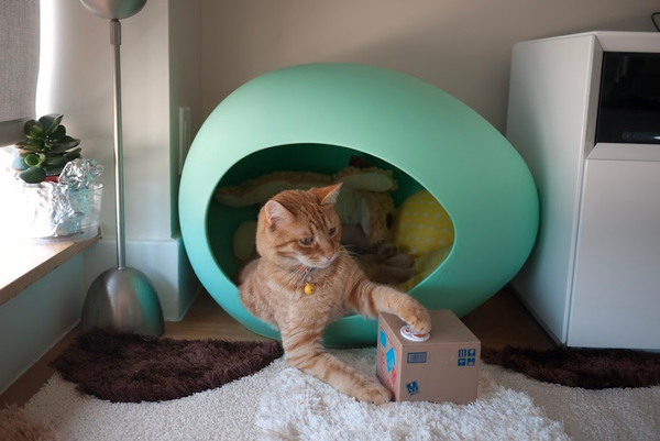 Conan & His Cat Coin Bank