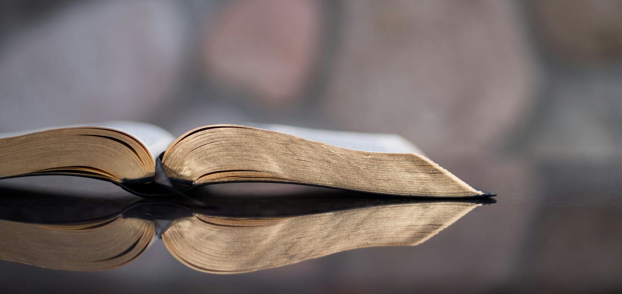 President Trump and Biblical Typology