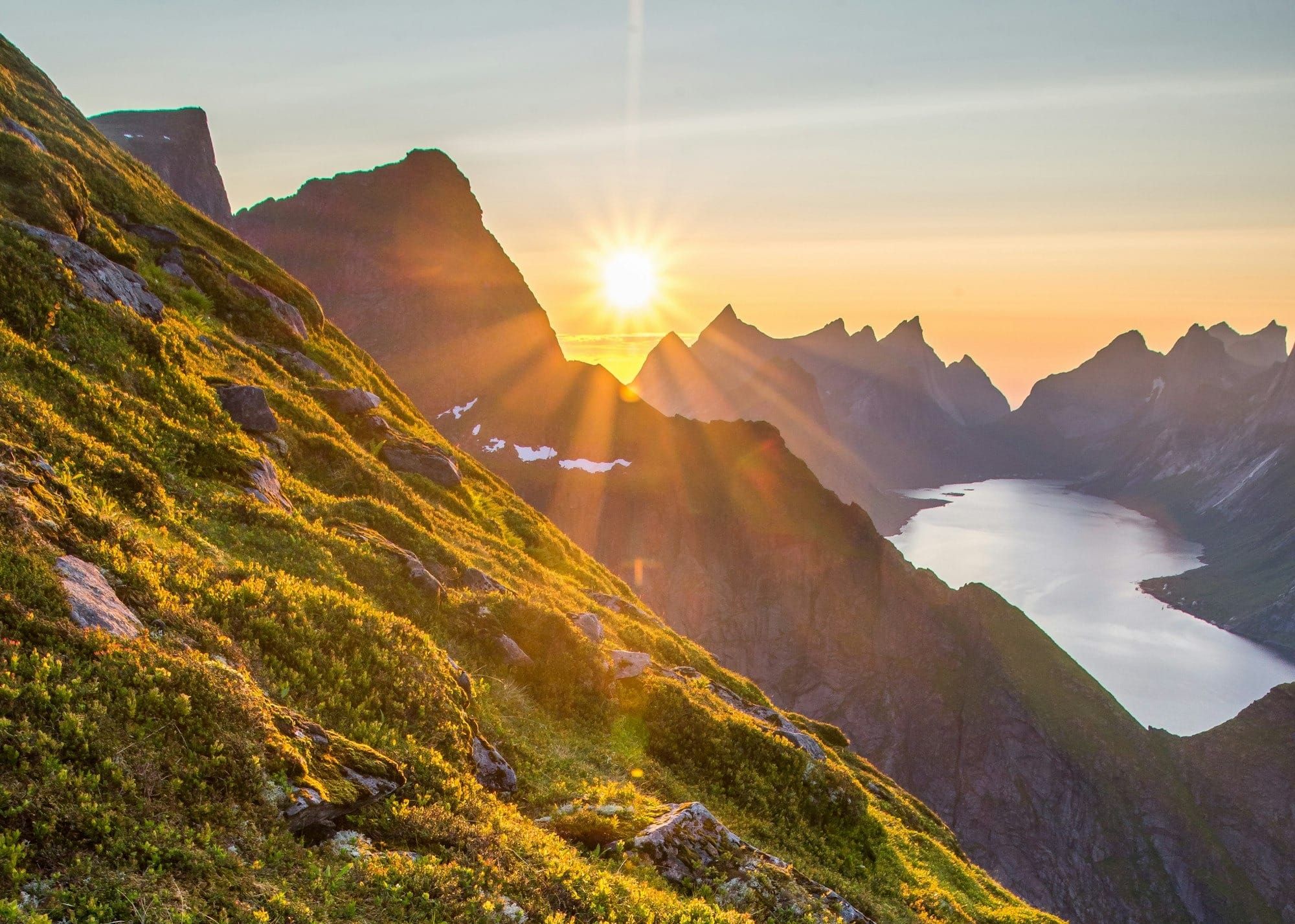 Quick Hospital Update