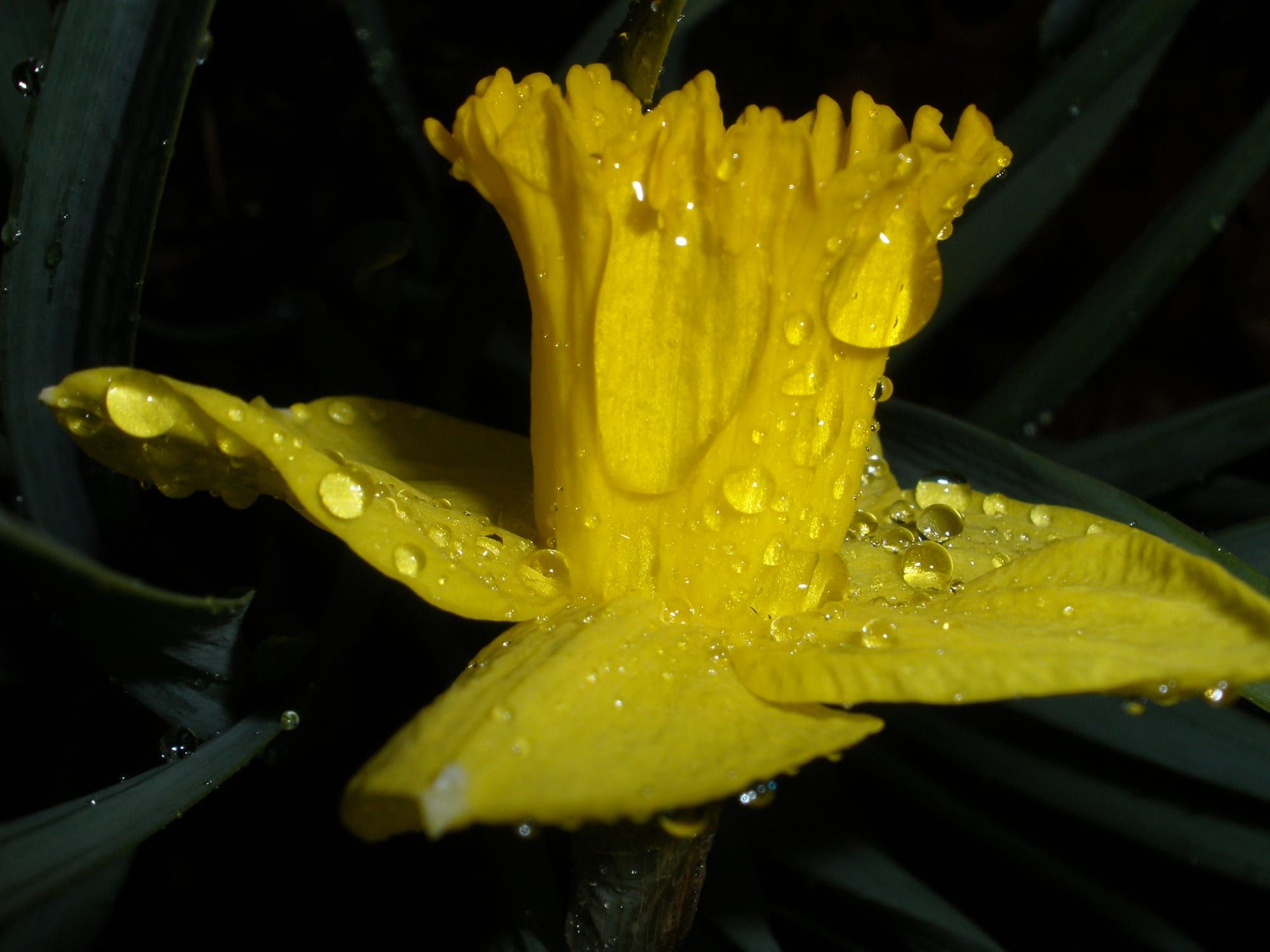 Conference Update—Happy Spring Equinox!