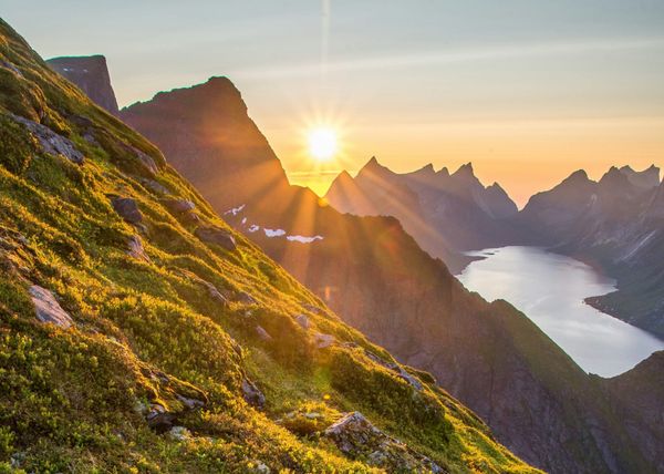 Quick Hospital Update