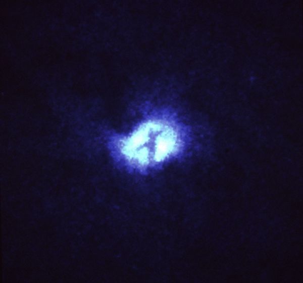 Signs in the Heavens—Jesus or Elon?