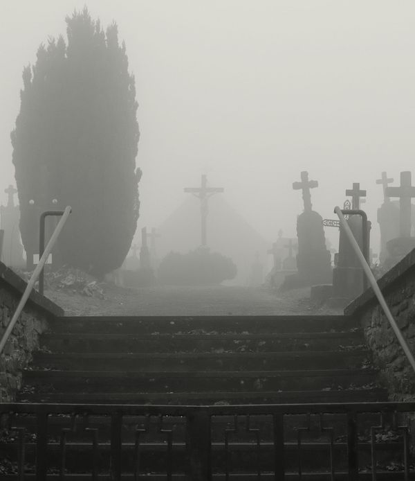 Urgent Update on Patriot Tina Peters and the Battle of the Bulge