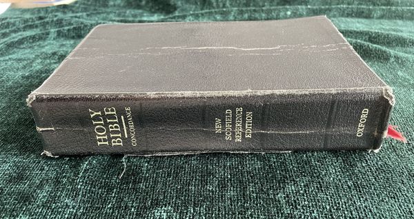 Which Bible? Which Version?