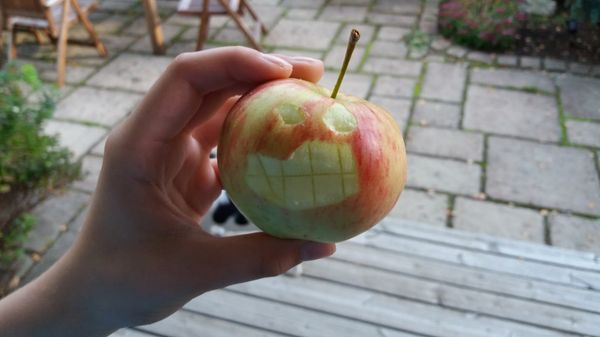 PISA laskee — mutta mihin oikeasti pitäisi tarttua?