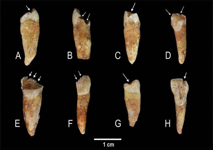 Marcas en los dientes revelan cómo se construían las identidades de género en la Prehistoria
