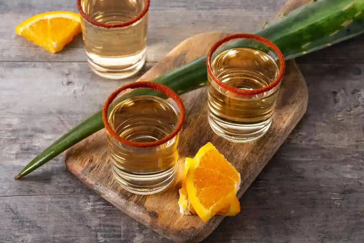 El mezcal, tequila, sotol y la raicilla son custodios de un linaje de levadura único en el mundo: Cinvestav