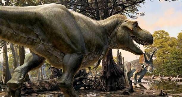 Un análisis dental revela que el T. rex era de sangre caliente