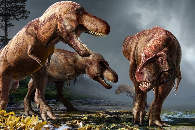 Revelan por qué dinosaurios carnívoros como el T. rex desarrollaron brazos diminutos