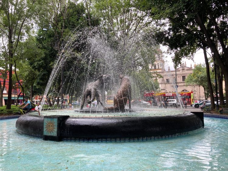 Coyoacán  ofrece la música y el arte de Huajuapan de León en el marco de la Copa del Mundo 2026