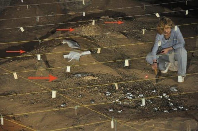 Homo erectus usó el fuego de forma oportunista y recurrente antes de lo que se pensaba