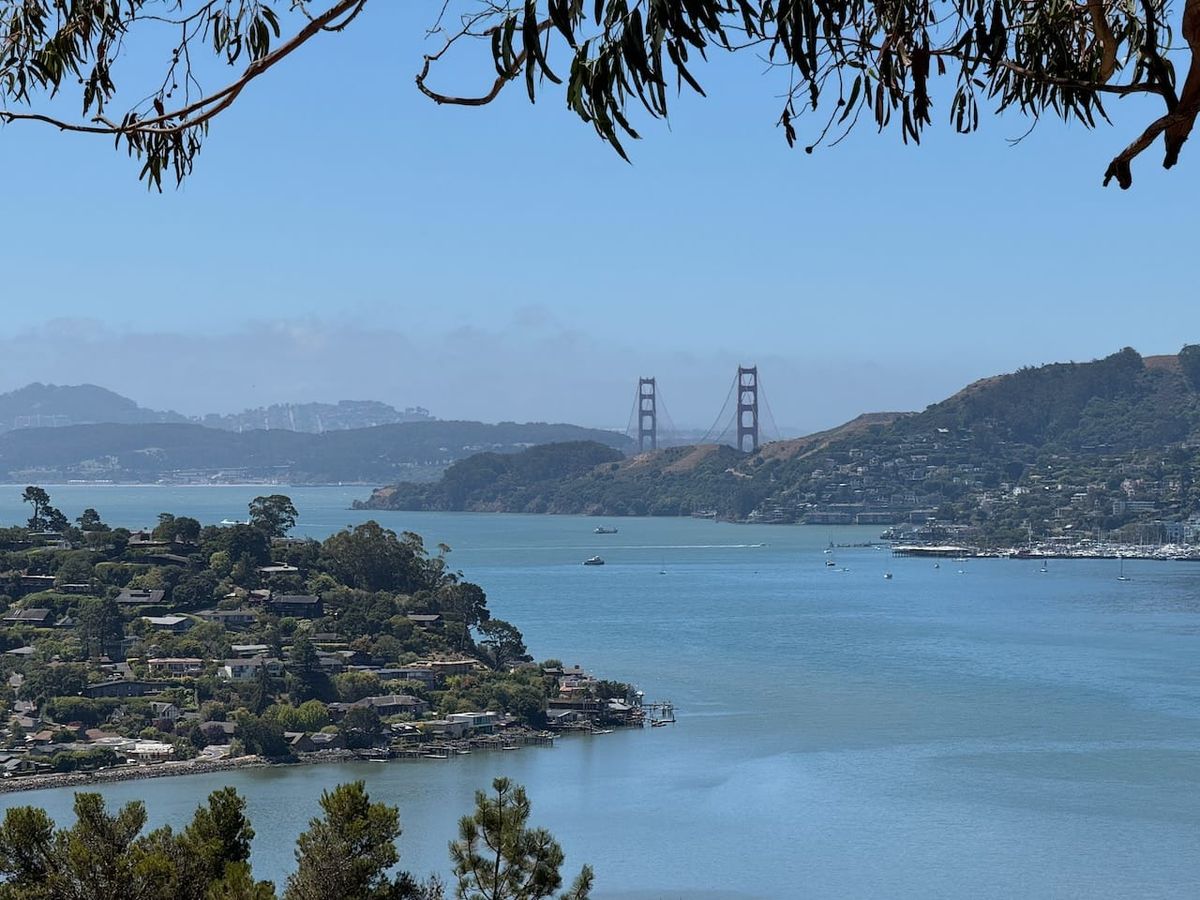 Tiburon 2025