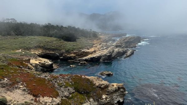 Point Lobos
