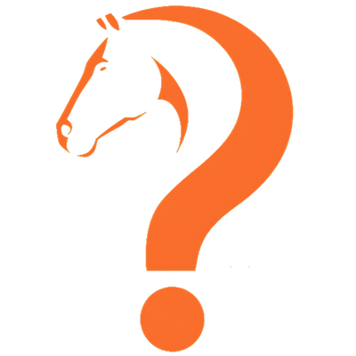 Curious Equestrian Newsletter