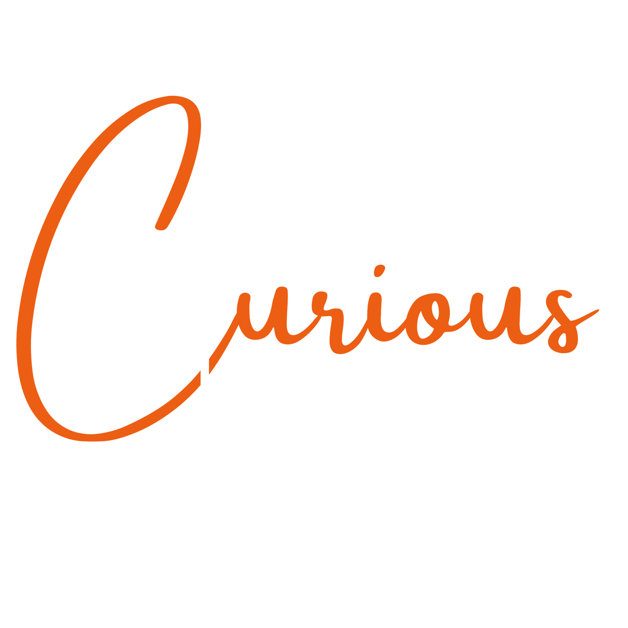Curious Equestrian Newsletter