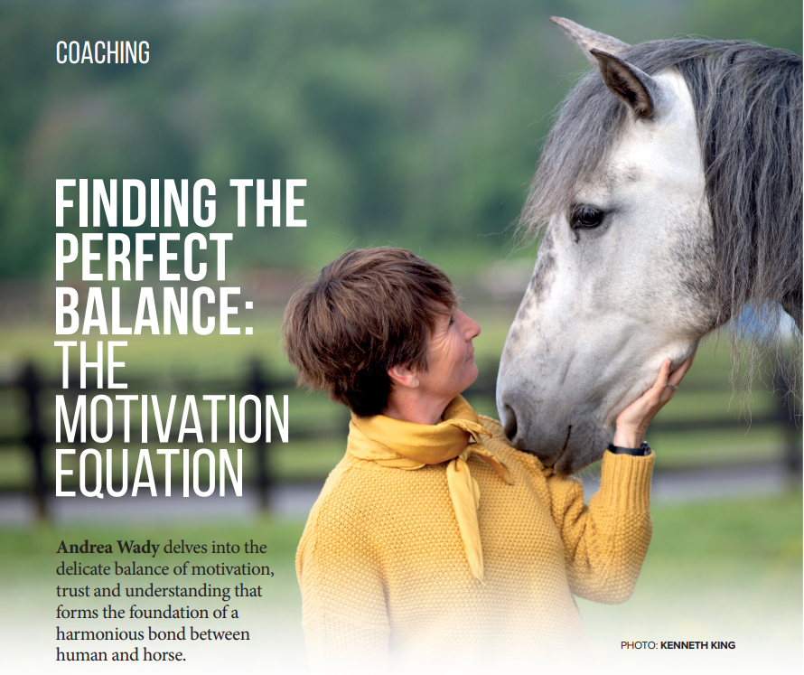 motivation horses