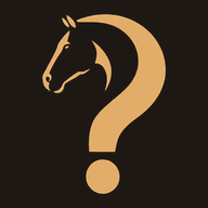 Curious Equestrian