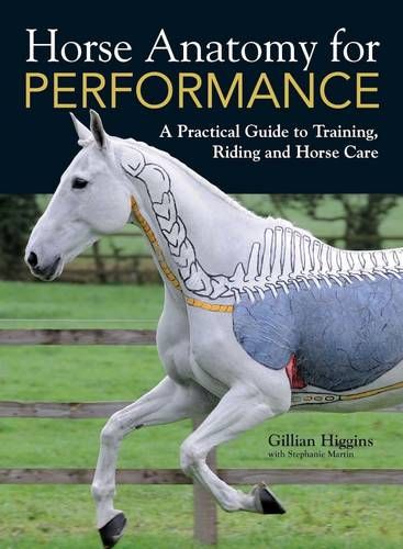 See Your Horse Like Never Before