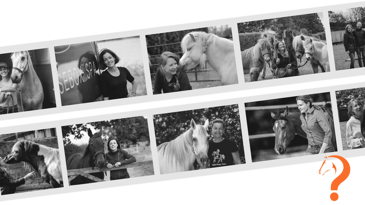 A free newsletter for riders who want to understand what’s really going on with horses.