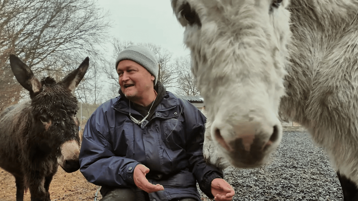 Billy with two rescue donkeys