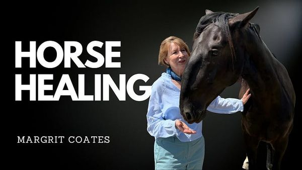 Horse Healing with Margrit Coates