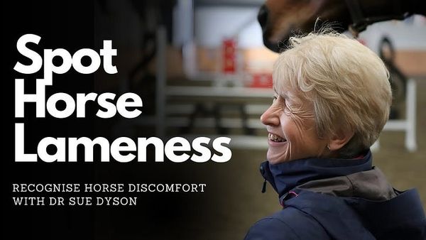 Horse Lameness: A Revolutionary Approach to Detecting Pain in Horses