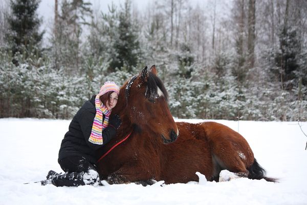 The Art of Horse Whispering