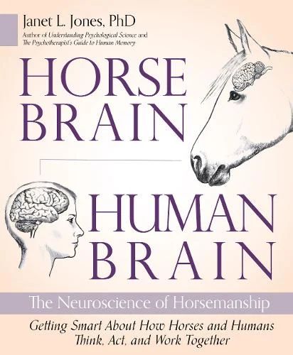 How Horse and Human Brains See the World Differently